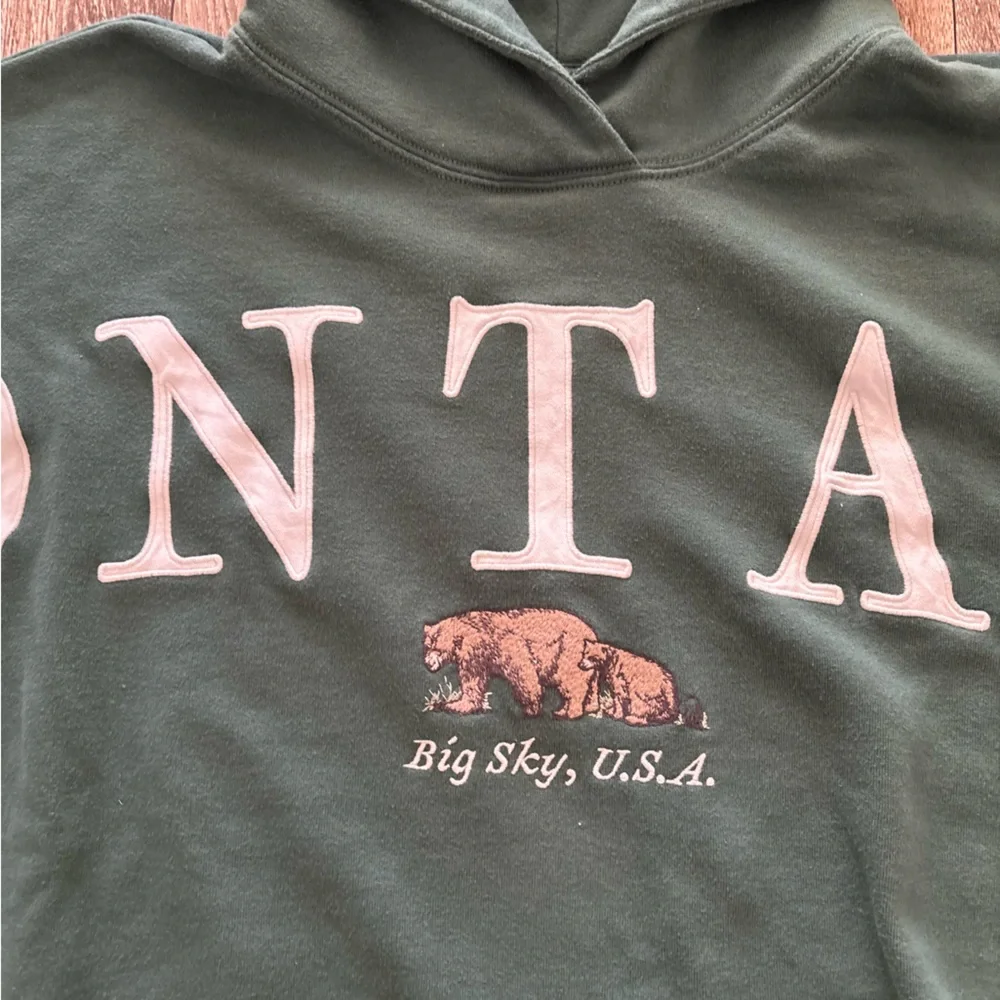 Hollister Forest Green Montana Hoodie - Picture 2 of 5